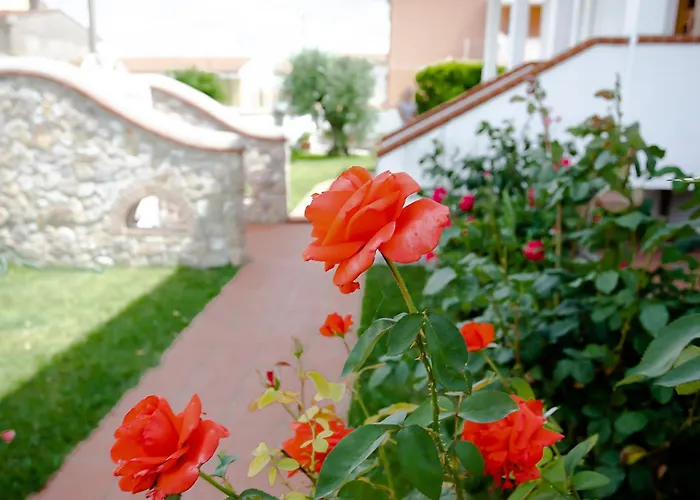 Affitti Brevi House *