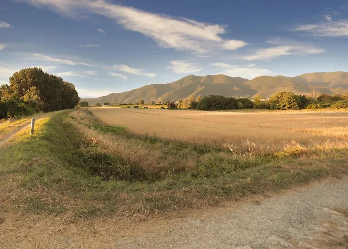 Affitti Brevi House * Cascina (Pisa)