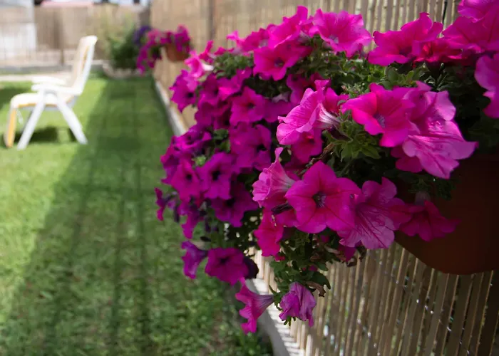 Affitti Brevi House Bed & Breakfast *