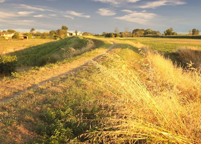 Affitti Brevi House Bed & Breakfast Cascina (Pisa)